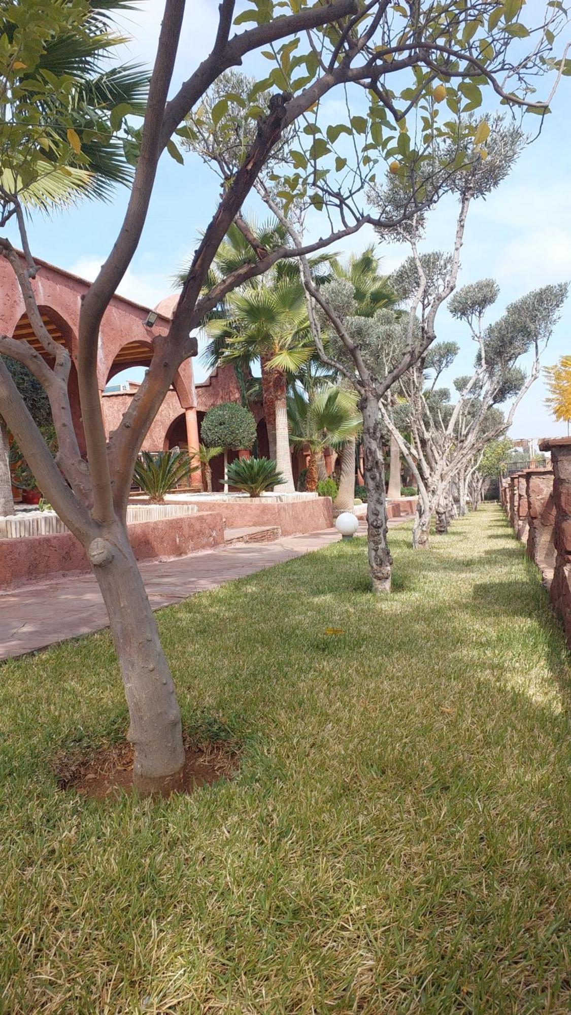 Chez Mamouchthka Bed & Breakfast Урика Екстериор снимка